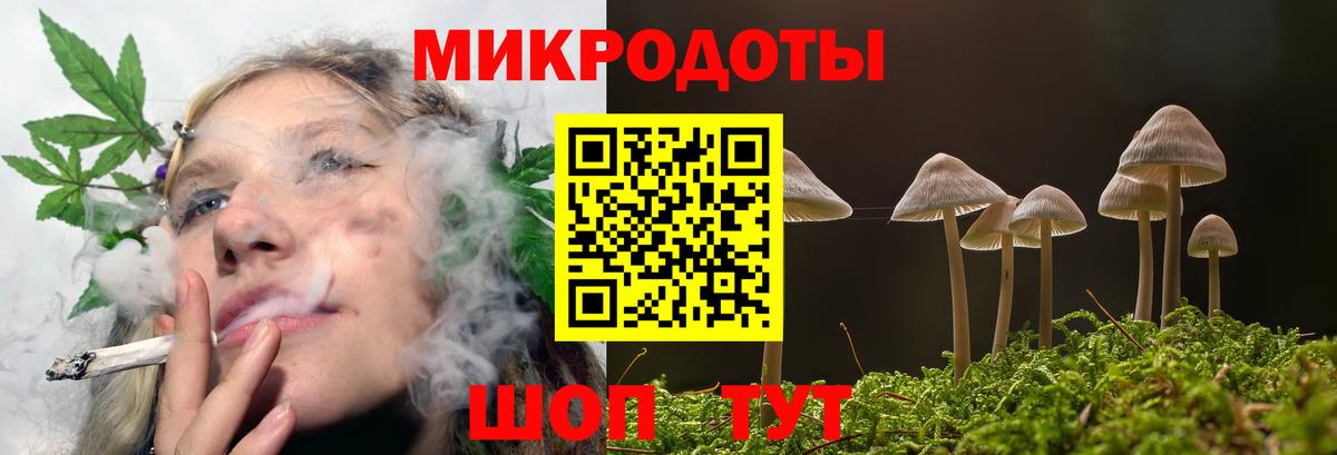 Псилоцибиновые грибы Psilocybe  Вход с VPN  хочу   Нижний Новгород 